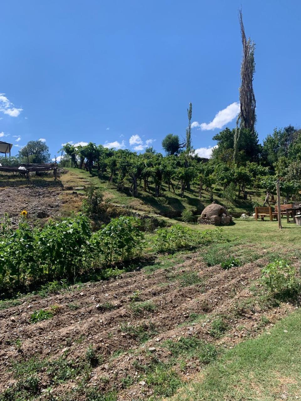 Cabana Cortaderas Mi Campito Cachi Salta Exteriör bild
