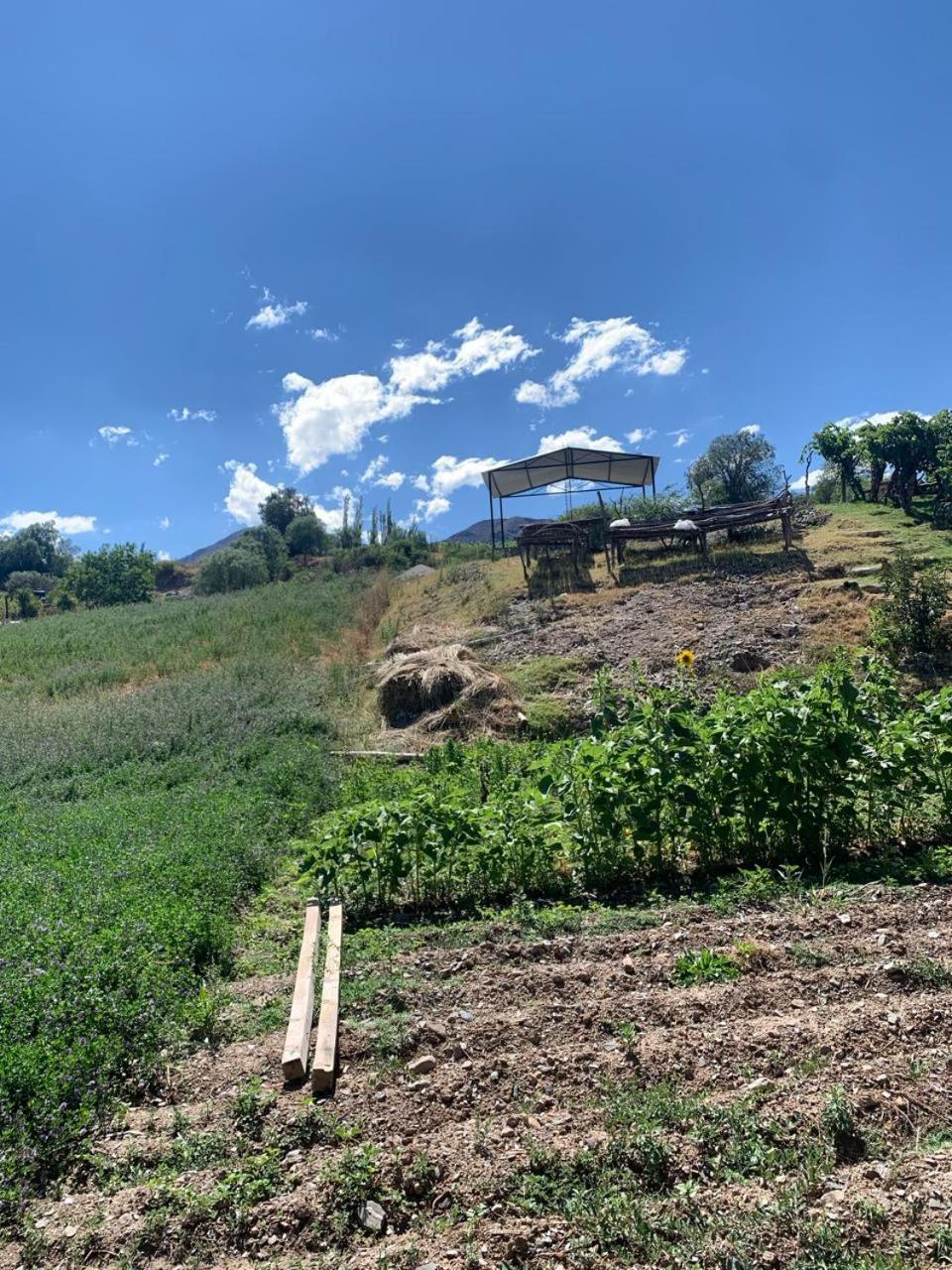 Cabana Cortaderas Mi Campito Cachi Salta Exteriör bild